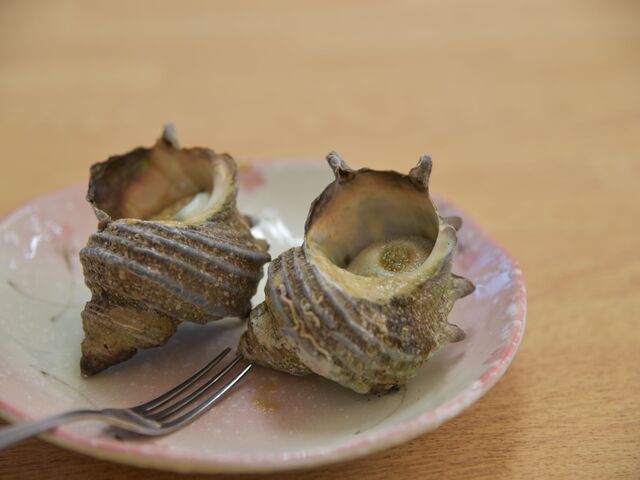 EEĂ𒸂܂BǂVNłł_X