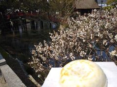 TNTN̑叾قւ̓eʐ^1