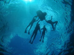 mikủ}X^WIւ̓eʐ^1