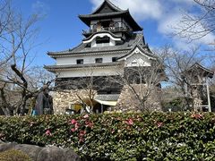 p_񂳂̍󌢎Rւ̓eʐ^1