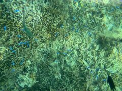 mikủ}X^WIւ̓eʐ^2