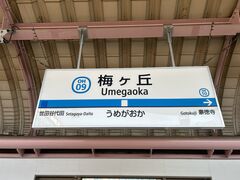 �Ё[����񂳂�̏��c�}�d�S�~���u�w�ւ̓��e�ʐ^1