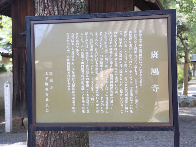 ���Ɍ��K�یS���q���@������_������