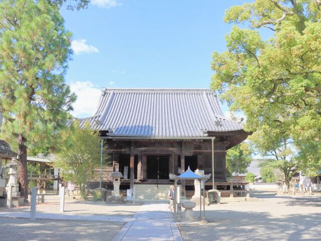 ���Ɍ��K�یS���q���@������_������