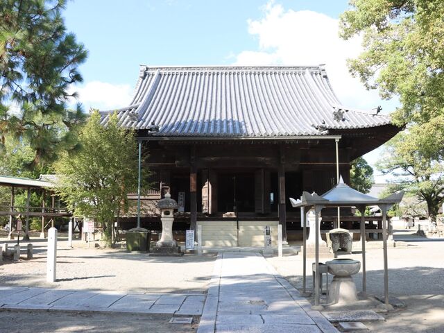 ���Ɍ��K�یS���q���@������_������