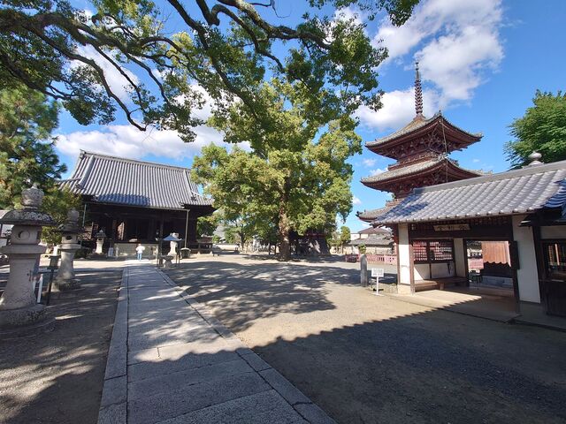 ���Ɍ��K�یS���q���@������_������