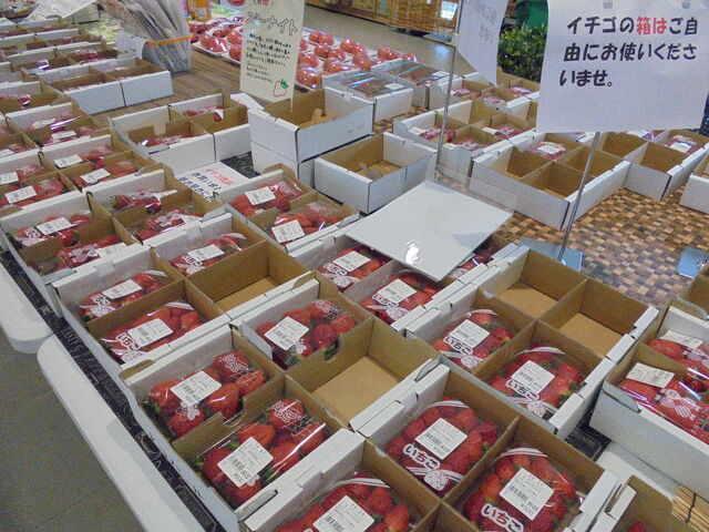 �Y���C�`�S�����l�ł�_���H�}���V�F