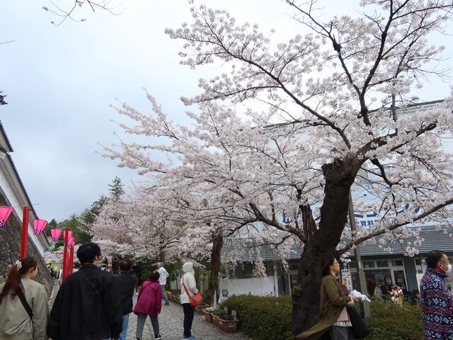 ���͗ǂ��炢�Ă���_�v�������̍�