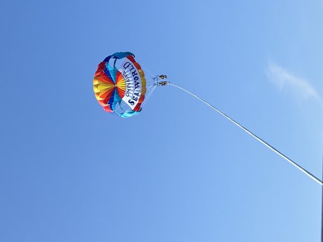 �����Ȍi�F�I_marine shop PETREL