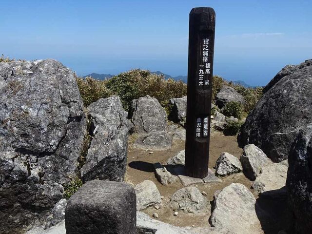 �{�V�Y�x����_�{�V�Y�x