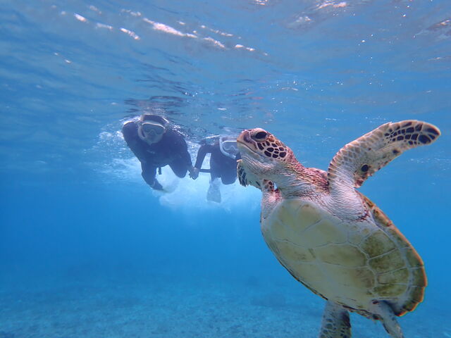 �J������ƃ|�[�Y_tida�c�A�[�Y