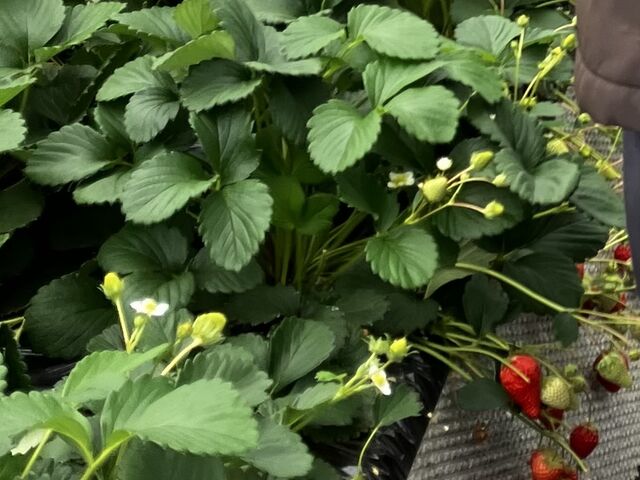 �喞���I�I_�ÎR�_��