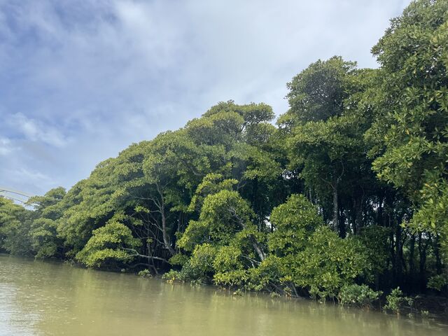 �}���O���[�u_�V�[���o�[�Y����