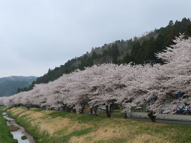 yosshẙpcs̍̓eʐ^2