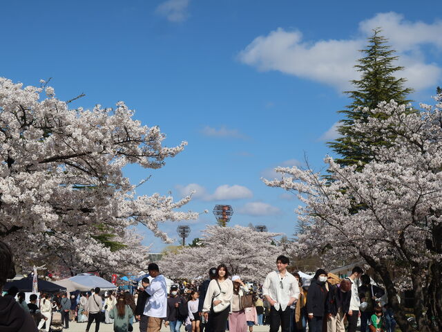 yosshẙJREJR_{̍̓eʐ^2