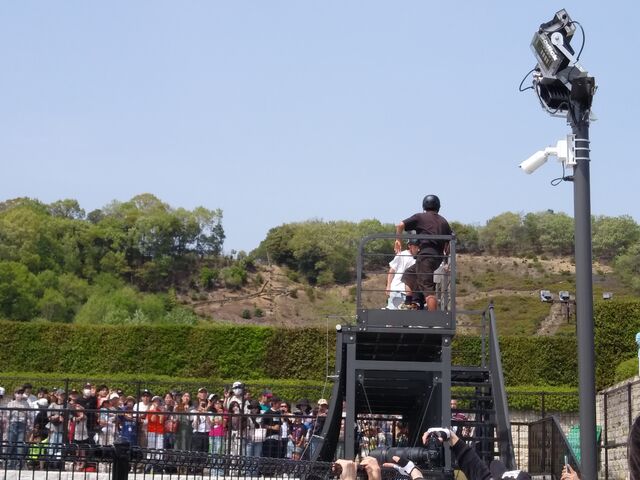 �n�[�t�p�C�v_�󂪒r�����^���{��