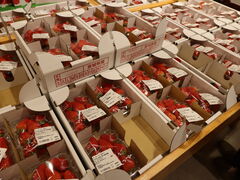 yosshŷ܂Ɩ̋ւ̓eʐ^3