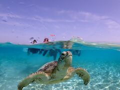 ͂񂳂̋{blue܂ق΂ւ̓eʐ^2