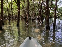 Nb`̂ЂI[VYւ̓eʐ^2