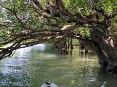 Nb`̂ЂI[VYւ̓eʐ^3