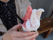 yosshynico gelato̓eʐ^4