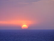 Ƃ񂳂̂zej[I̓eʐ^1