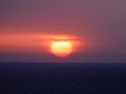 Ƃ񂳂̂zej[I̓eʐ^4