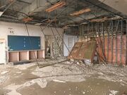 Ƃ񂳂̐kЈ\Q]ˏwZ̓eʐ^8