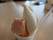 yosshyNatu-Lino̓eʐ^4