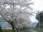 yosshẙpcs̍̓eʐ^1