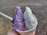 â܂΂̃W[W[̓eʐ^1