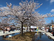 yosshẙJREJR_{̍̓eʐ^3