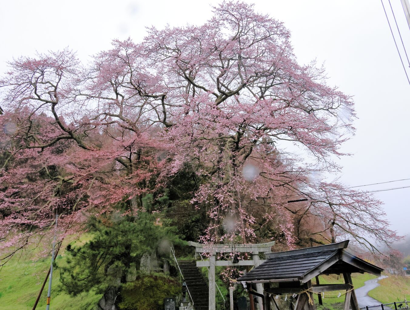 二本松市の自然景観・絶景ランキングTOP10 - じゃらんnet