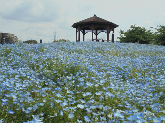 �ʐ��E�ɂ���悤_�˓c��Βn�s�N�j�b�N�L��