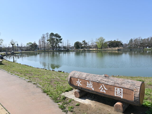 όǂ̃F[JtF(EMpgX)̓eʐ^5