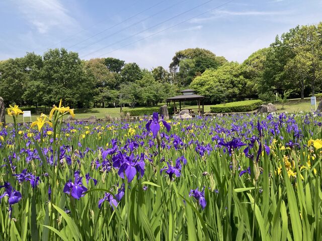 �喴�c�s�z�K����_�喴�c�s�z�K����