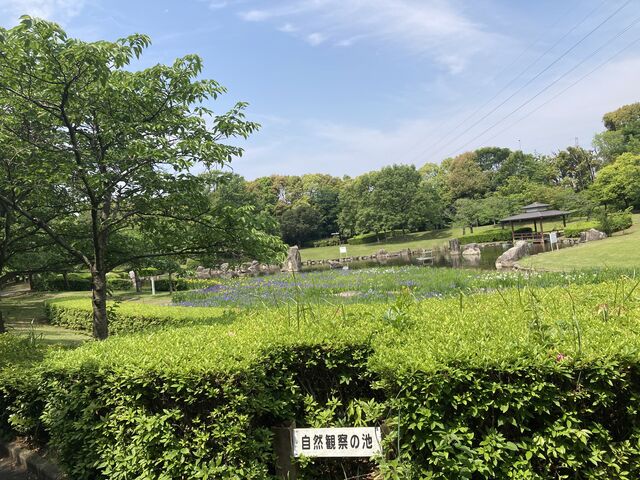 �喴�c�s�z�K����_�喴�c�s�z�K����