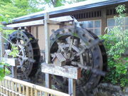 񂳂̌˓cΒnsNjbNL̓eʐ^9