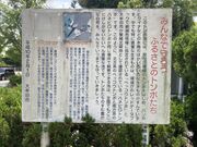 EbL[̑喴cszK̓eʐ^1