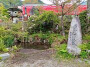 �����񂳂�̗Ր쎛�̓��e�ʐ^6