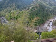 �����񂳂�̗Ր쎛�̓��e�ʐ^8