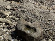 �݂��񂳂�̈����ЁE���������̓��e�ʐ^1