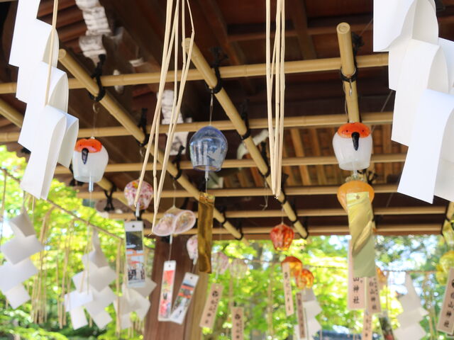 yosshy̐V R_Ђ̓eʐ^3