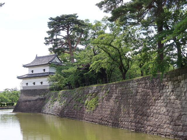 ������̐Ί_�ƘE�͍]�ˎ���̖{��_�V���c��