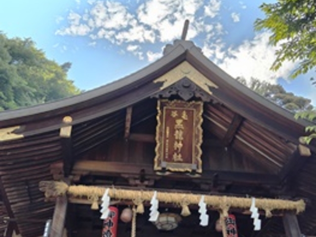 �ђJ�����_�� �q�a_�ђJ�����_��