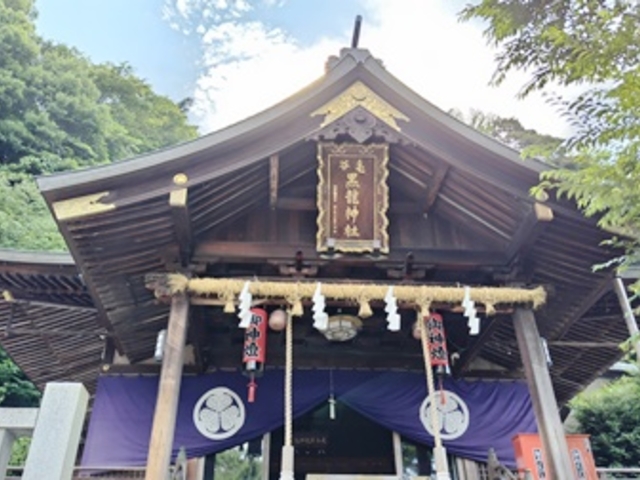 �ђJ�����_�� �q�a_�ђJ�����_��