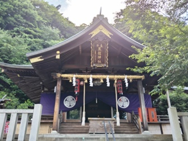 �ђJ�����_�� �q�a_�ђJ�����_��