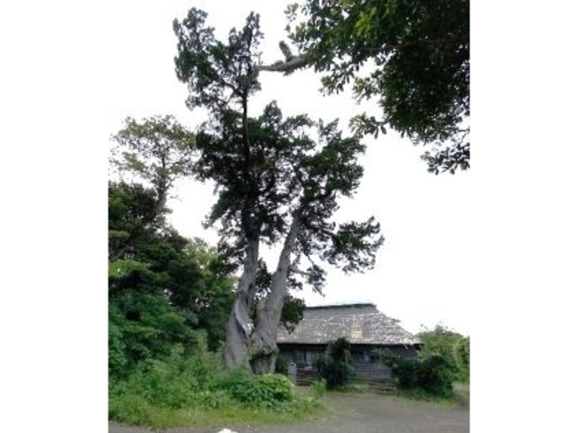 �Ðh�F����̓������Ձi�O������Ձj�̓��e�ʐ^4