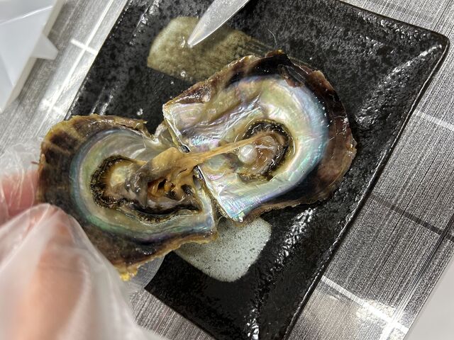 ���̂͂����ɐ^�삪�o�Ă��Ă���܂����B8mm���ő傫�߂ȃh���b�v�^_PICOLABO