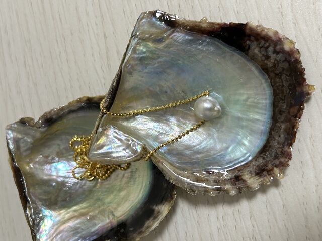 ���y�Y�ɊL�k���R�[�e�B���O���āA�A�N�Z�T���[����ɁB
�����B_PICOLABO